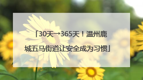 30天→365天！温州鹿城五马街道让安全成为习惯