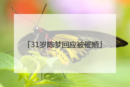 31岁陈梦回应被催婚