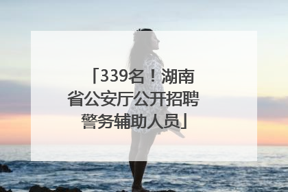 339名！湖南省公安厅公开招聘警务辅助人员
