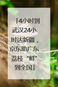 4小时到武汉24小时达新疆，京东助广东荔枝“鲜”到全国