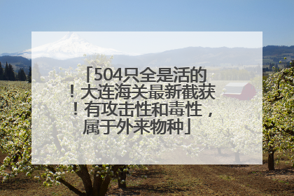 504只全是活的！大连海关最新截获！有攻击性和毒性，属于外来物种