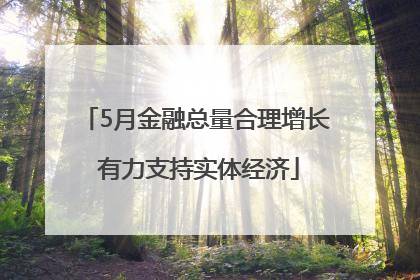 5月金融总量合理增长 有力支持实体经济