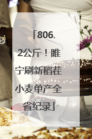 806.2公斤！睢宁刷新稻茬小麦单产全省纪录
