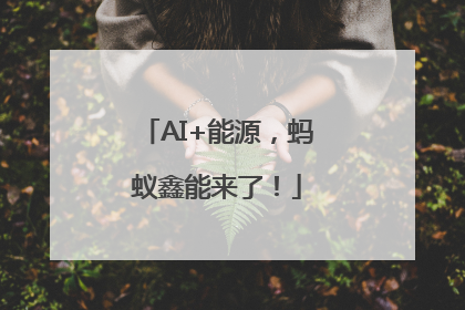 AI+能源，蚂蚁鑫能来了！