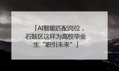 AI智能匹配岗位，石鼓区这样为高校毕业生“职引未来”
