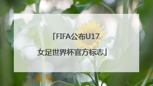 FIFA公布U17女足世界杯官方标志