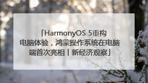 HarmonyOS 5重构电脑体验，鸿蒙操作系统在电脑端首次亮相丨新经济观察