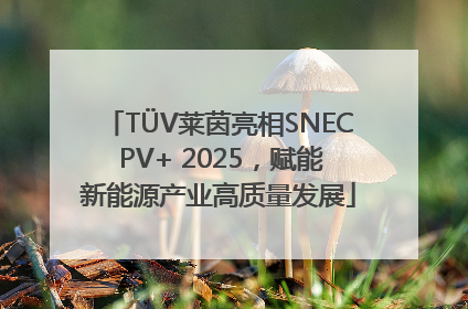 TÜV莱茵亮相SNEC PV+ 2025，赋能新能源产业高质量发展